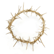 CROWN OF THORNS - COT8