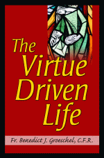 VIRTUE DRIVEN LIFE