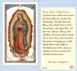 OUR LADY OF GUADALUPE, MYSTICAL ROSE