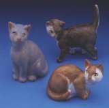 CATS SET OF 3