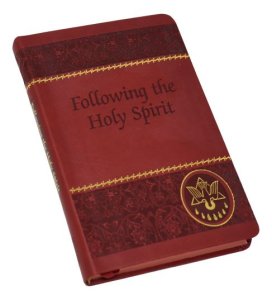 FOLLOWING THE HOLY SPIRIT
