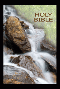 CATHOLIC STUDENT BIBLE NAB EDITION
