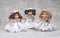 FIRST COMMUNION DOLL
