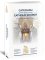 Catechism of the Catholic Church, Ascension Ed Paperback